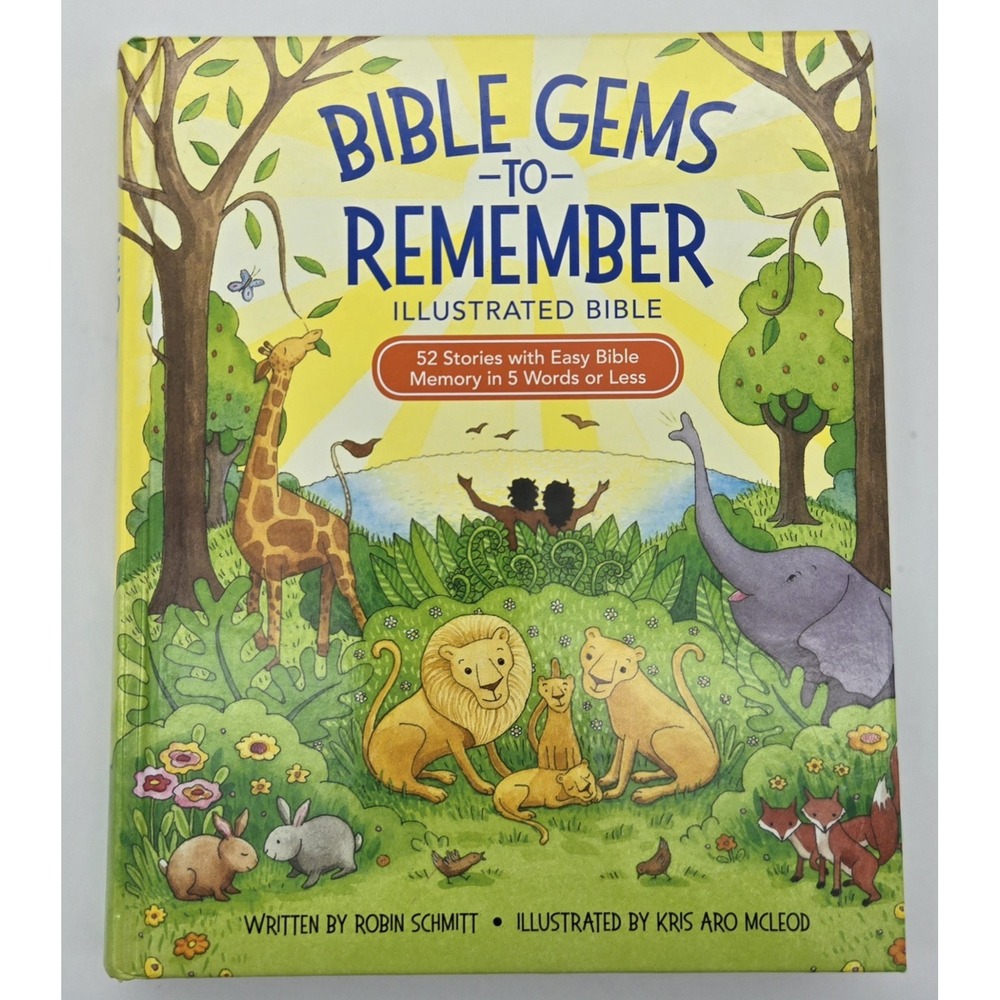 Bible Gems to Remember Illustrated Bible 52 Stories Hardcover Robin Schmitt